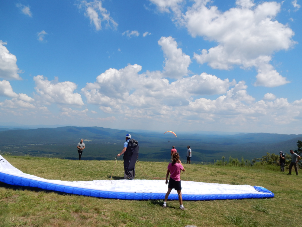 Panorama launch