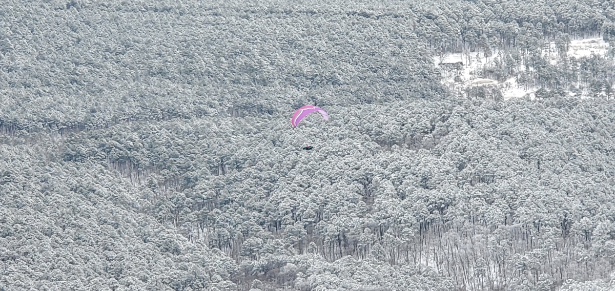 paragliding in winter at Panorama